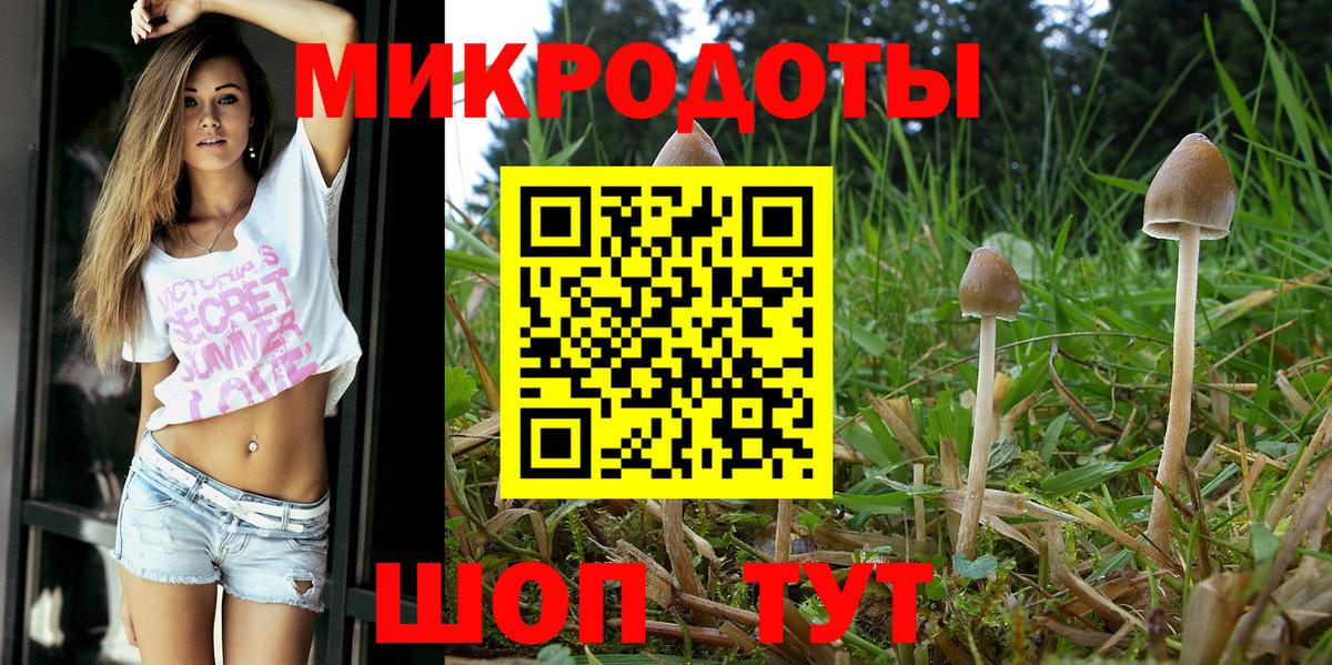 Псилоцибиновые грибы Cubensis  Вход с VPN  Псилоцибиновые грибы Magic Shrooms  Чехов 